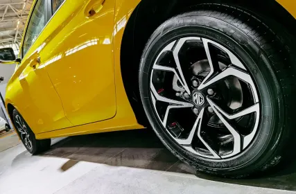 카지노 알파 모바일 앱